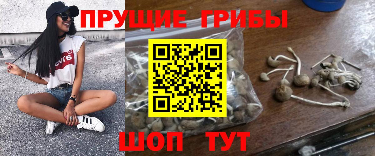 Псилоцибиновые грибы прущие грибы Алексеевка