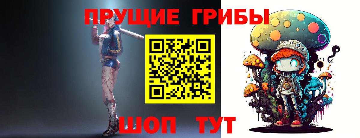 Алексеевка  Псилоцибиновые грибы ЛСД  Галлюциногенные грибы прущие грибы  Вход с VPN 